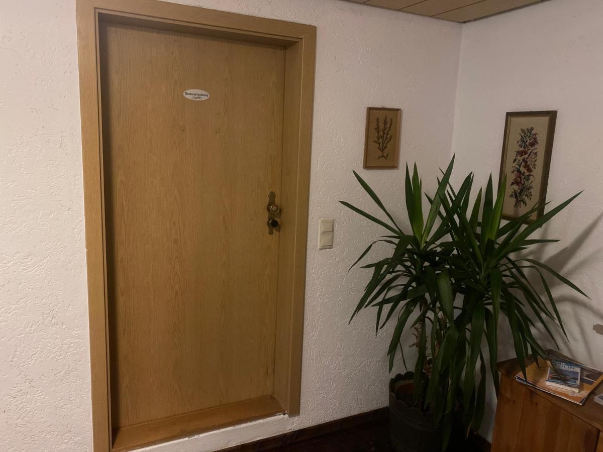Ferienwohnung Eva Und Alexander Hirschbach  المظهر الخارجي الصورة